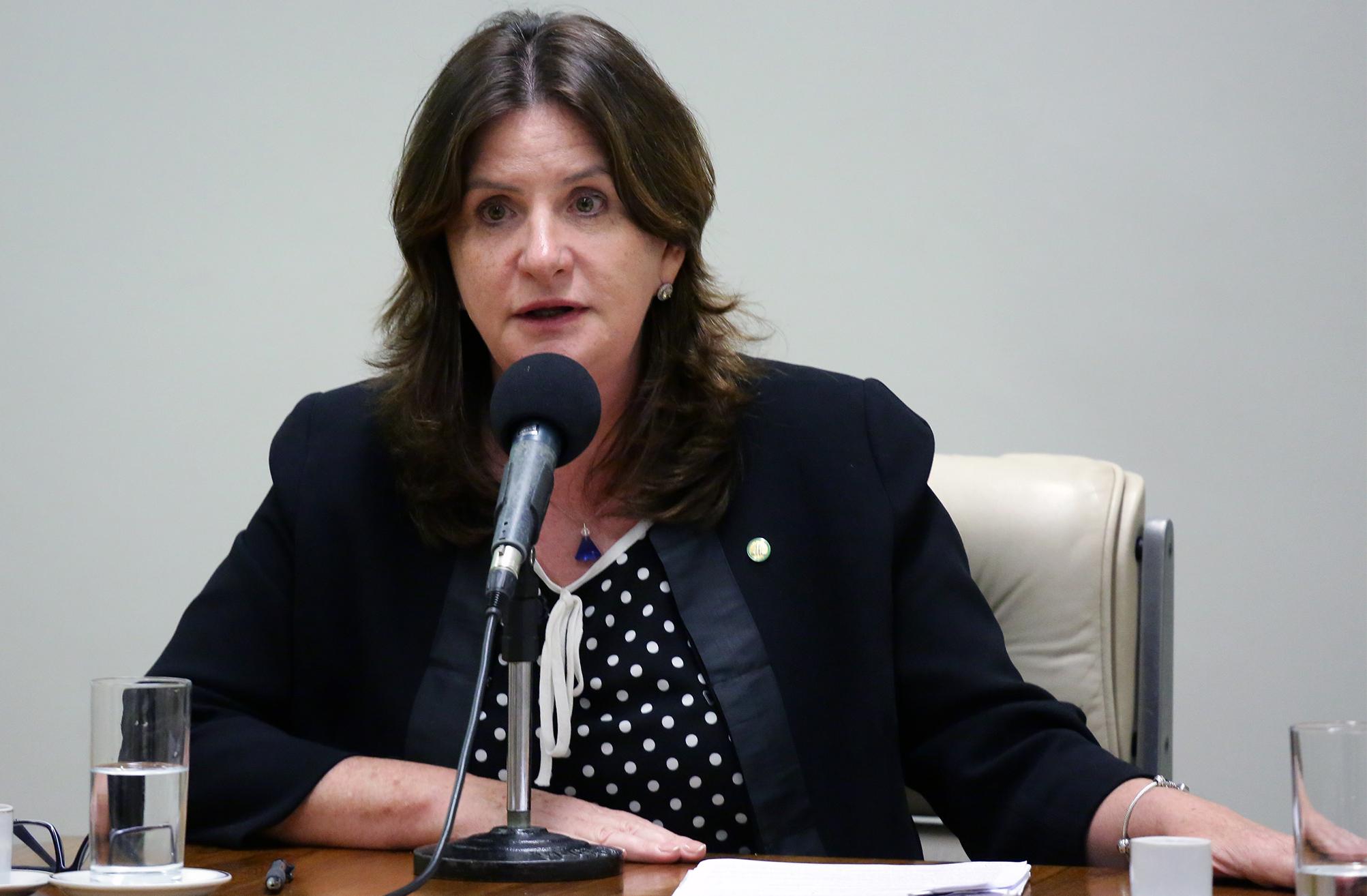 Carmen Zanotto: parecer pela aprovação com alterações no texto original para garantir a separação entre os poderes